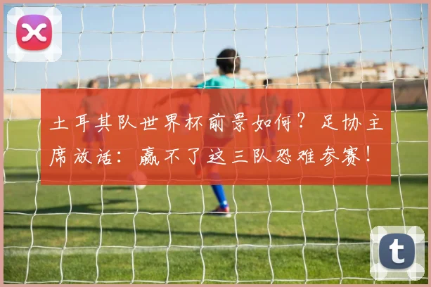 土耳其队世界杯前景如何？足协主席放话：赢不了这三队恐难参赛！