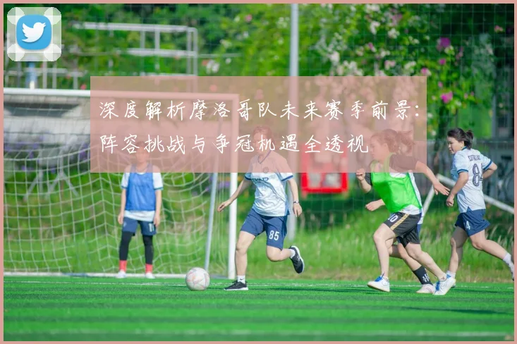 深度解析摩洛哥队未来赛季前景：阵容挑战与争冠机遇全透视